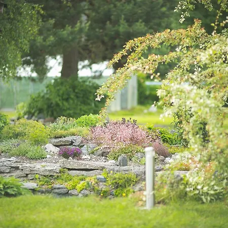 Arina Cottages Nasva Rom bilde